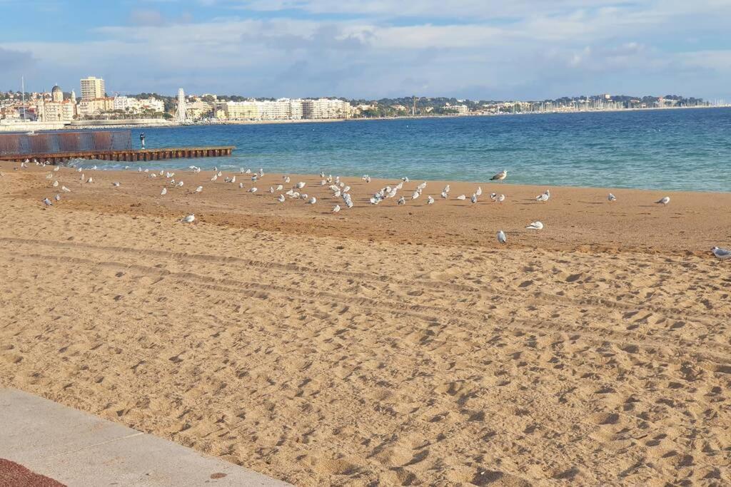 T2 Climatisé à 5 Minutes à Pied De La Avec Parking, Piscine Et Wifi Appartamento